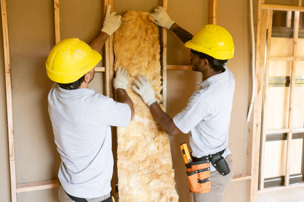 Best Home Insulation Services  in Boiling Spring Lakes, NC