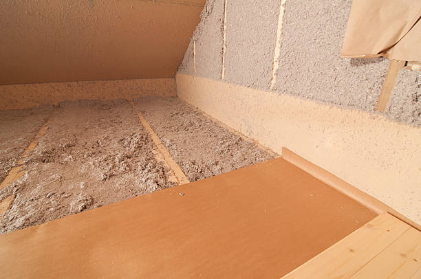 Best Insulation Removal  in Boiling Spring Lakes, NC