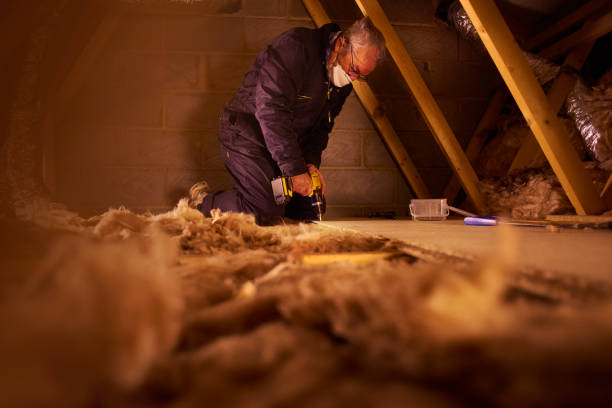 Best Best Insulation Companies  in Boiling Spring Lakes, NC