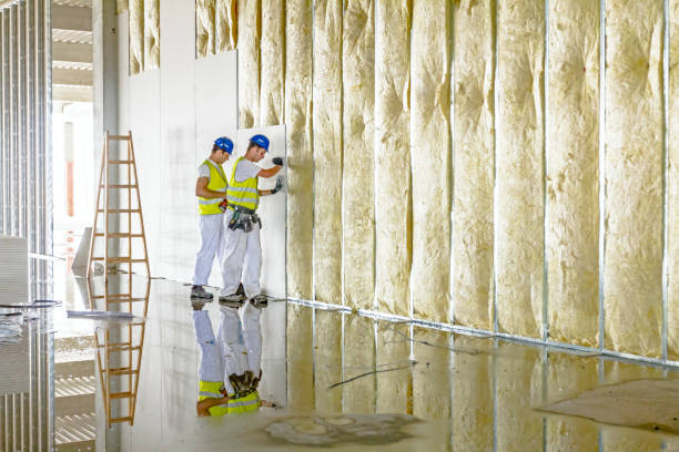 Best Professional Insulation Contractor  in Boiling Spring Lakes, NC